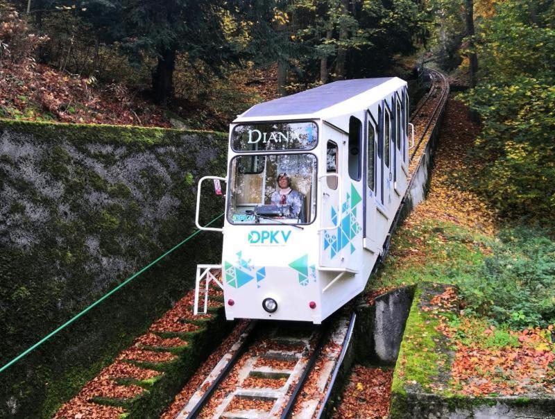 Apartman Alena Karlovy Vary Bagian luar foto
