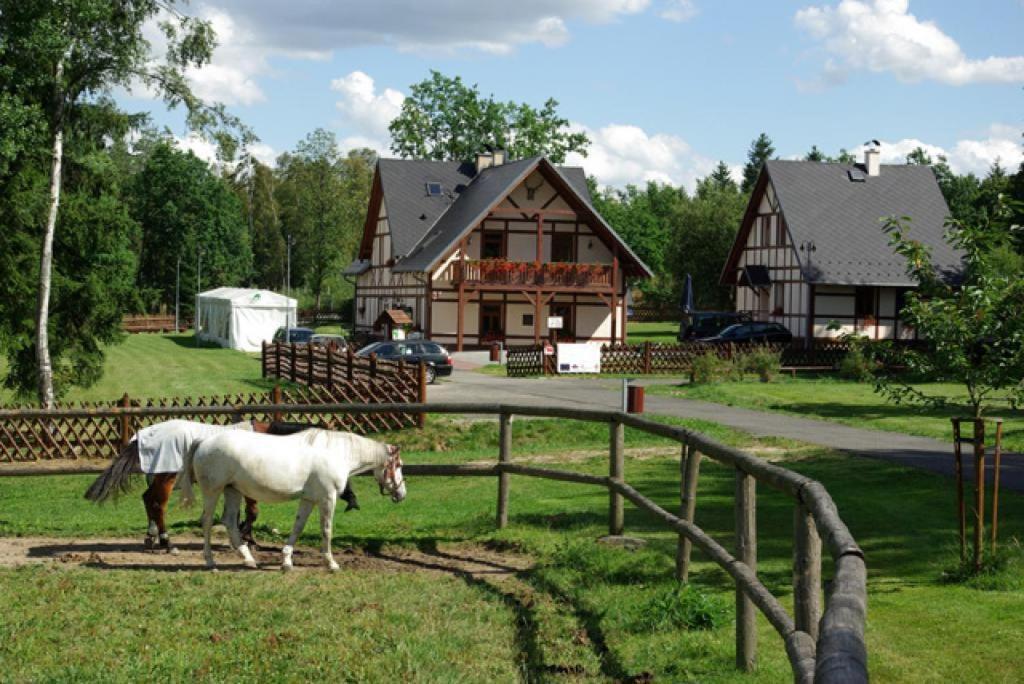 Apartman Alena Karlovy Vary Bagian luar foto
